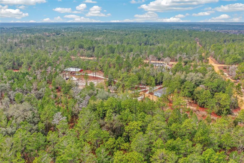 419 Lily Trail Interlachen, FL 32148 - Photo 73 of 78