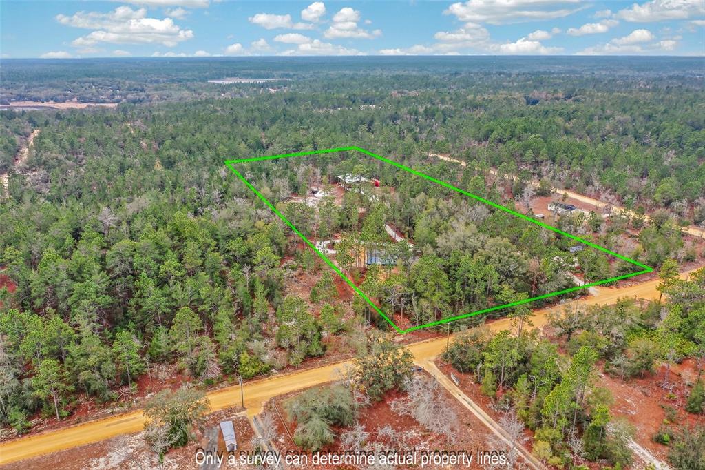 419 Lily Trail Interlachen, FL 32148 - Photo 74 of 82