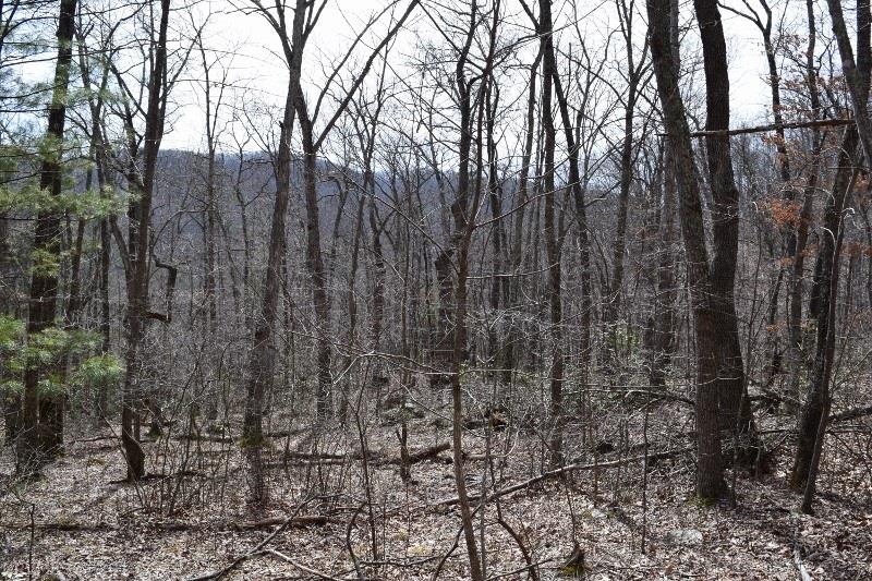 Norris Run Road Blacksburg, VA 24060 - Photo 11 of 21 Gallery Image 11