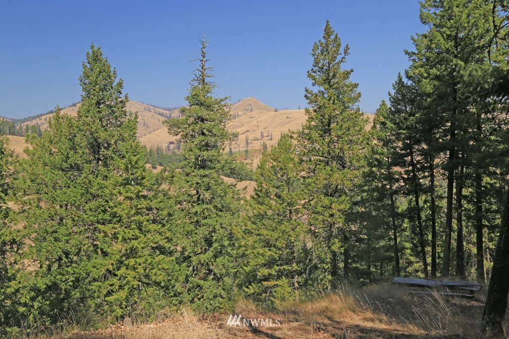 15 South Airstrip Road Twisp, WA 98856 - Photo 23 of 24 Gallery Image 23