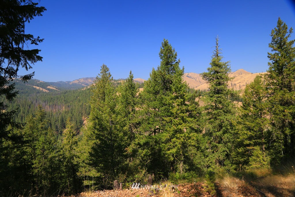 15 South Airstrip Road Twisp, WA 98856 - Photo 24 of 24 Gallery Image 24