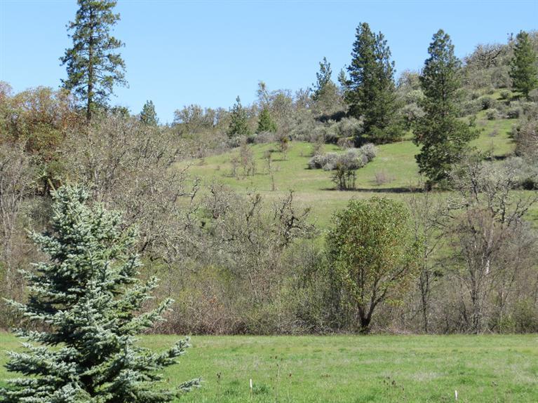 5025 East Antelope Road Eagle Point, OR 97524 - Photo 27 of 28 Additional Photo