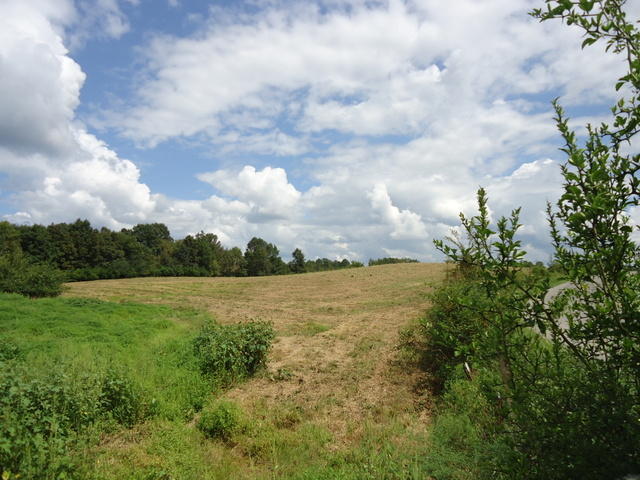 6 Cottonport Road Dayton, TN 37321 - Photo 15 of 27 14-DSC00117