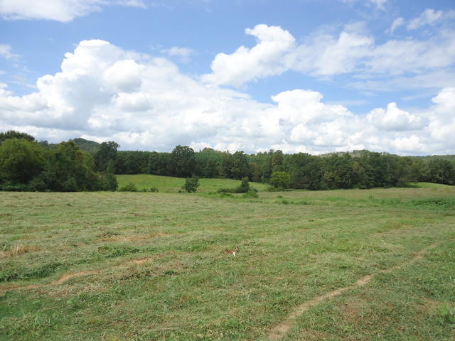 6 Cottonport Road Dayton, TN 37321 - Photo 25 of 27 22-DSC00125