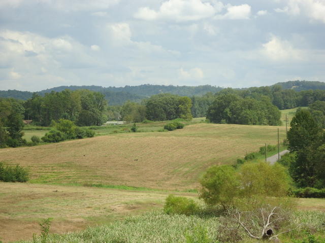 6 Cottonport Road Dayton, TN 37321 - Photo 6 of 27 04-DSC00107