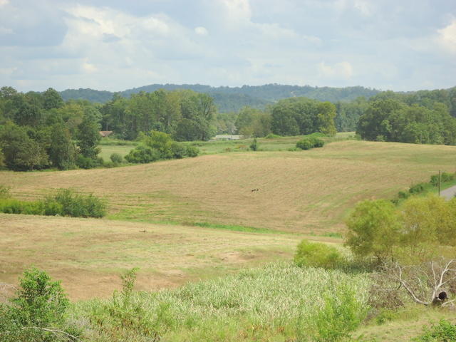 6 Cottonport Road Dayton, TN 37321 - Photo 7 of 27 05-DSC00108