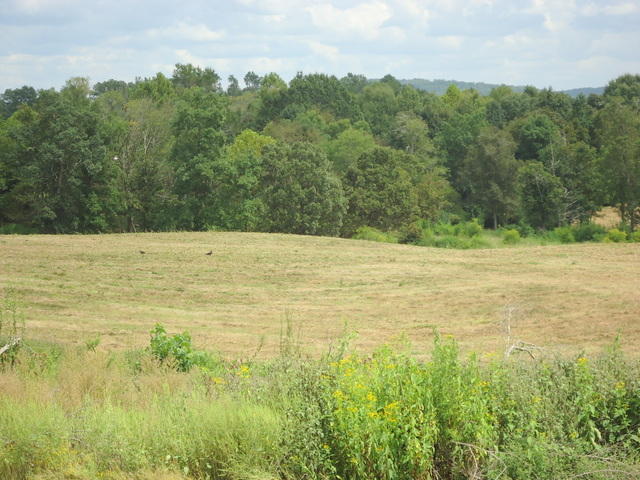 6 Cottonport Road Dayton, TN 37321 - Photo 8 of 27 06-DSC00109