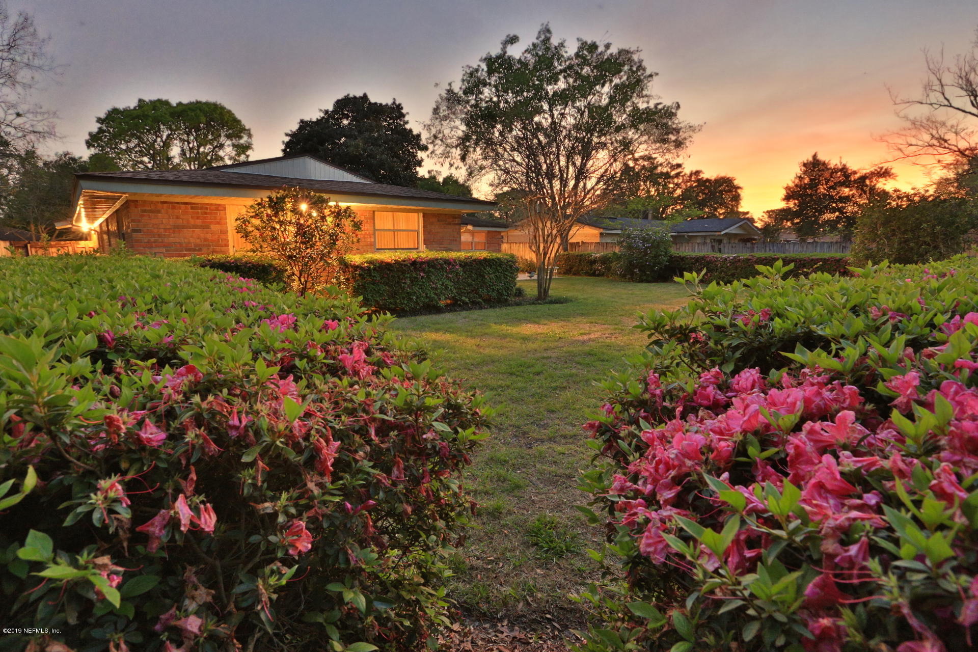 7305 Floral Ridge Drive Jacksonville, FL 32277 - Photo 8 of 27 a picture of flowers