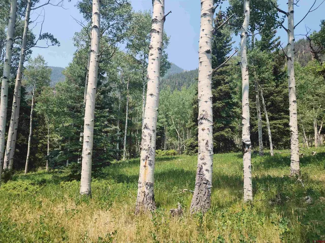 $30,000 | 19 Oliver Street, Del Norte, CO 81132