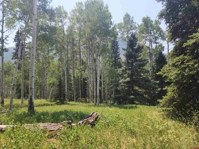 $30,000 | 19 Oliver Street, Del Norte, CO 81132