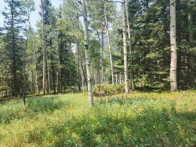 $30,000 | 19 Oliver Street, Del Norte, CO 81132