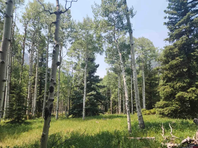 $30,000 | 19 Oliver Street, Del Norte, CO 81132