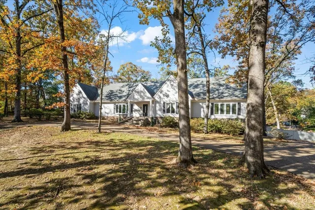a view of a yard with a tree