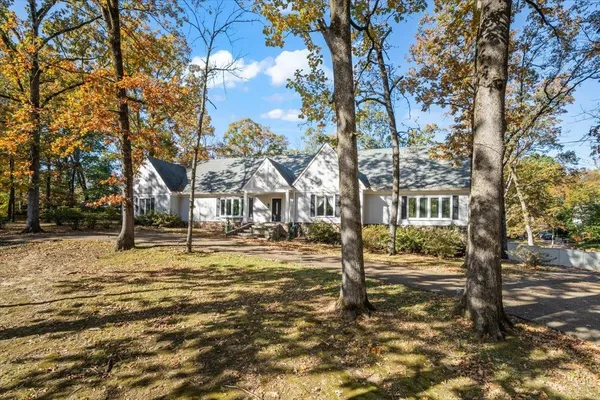 a view of a yard with a tree