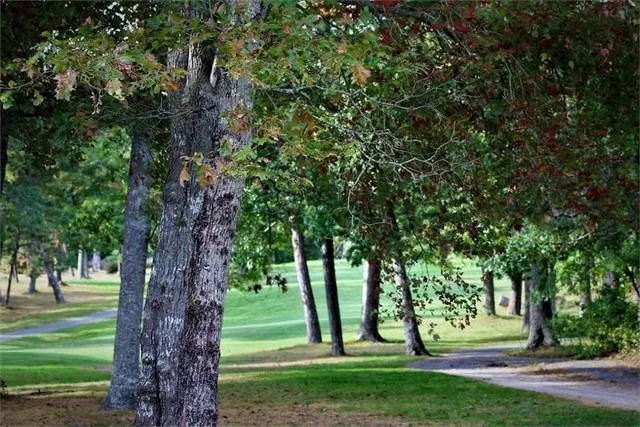 a view of backyard with green space