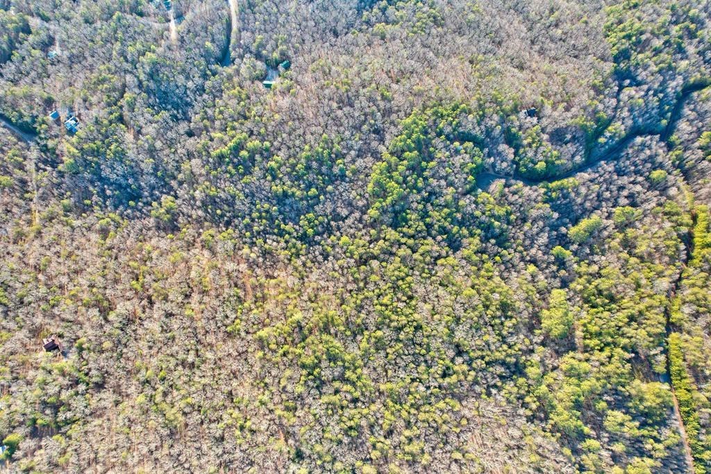 17.67-ac Rainbow Ridge Road Ellijay, GA 30536 - Photo 34 of 42 Gallery Image 34