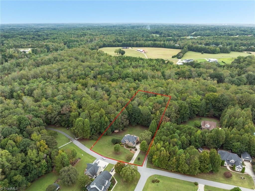 7603 Adler Road Summerfield, NC 27358 - Photo 50 of 50