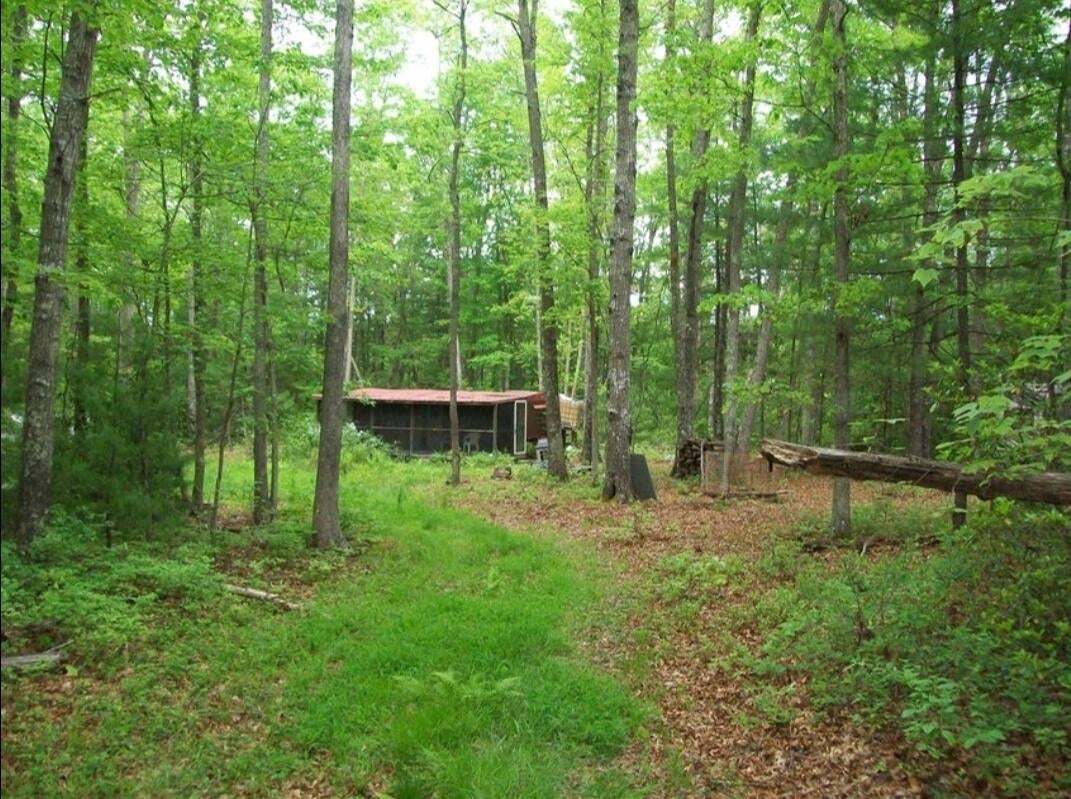 Pine Grove Road Lerona, WV 25971 - Photo 2 of 2 Gallery Image 2