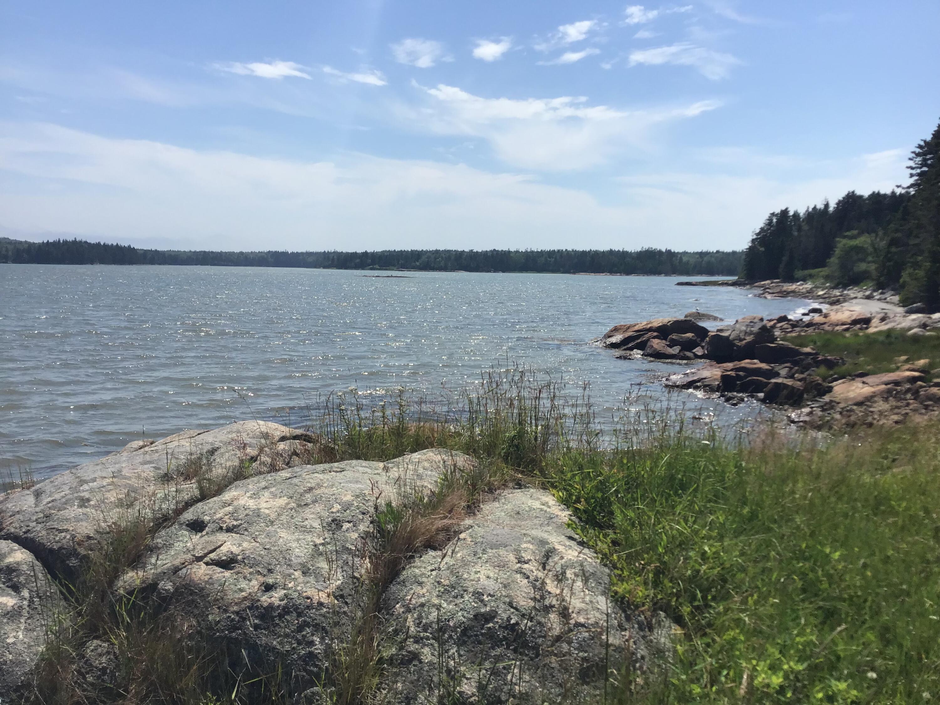 35 Bar Island Road Milbridge, ME 04658 - Photo 8 of 14 35 bar8