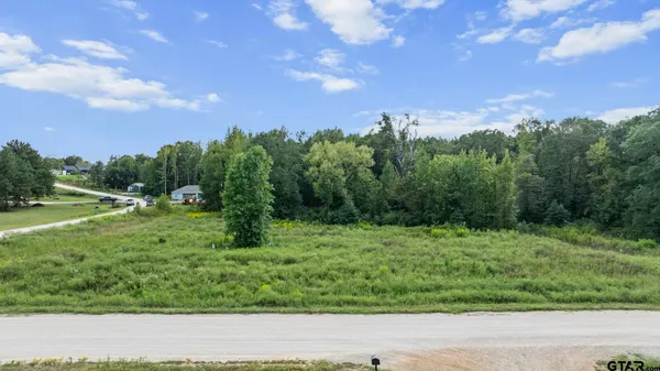 $95,000 | 16404 Lepanto Lane, Winona, TX 75792