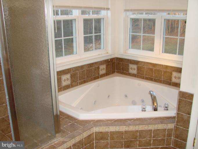 8231 Rogues Road Catlett, VA 20119 - Photo 13 of 22 Bath (Master)