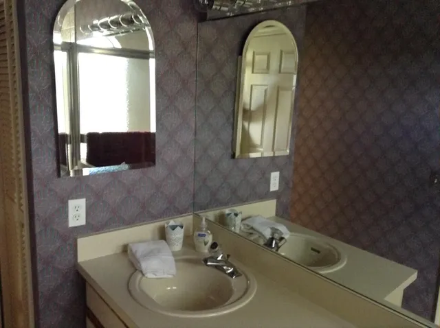 a bathroom with a sink and a mirror