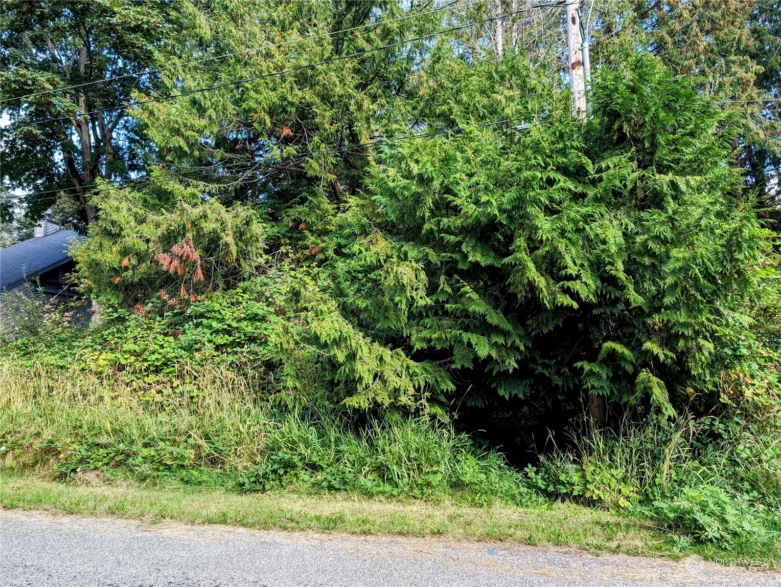 5 Cedar Point Avenue Point Roberts, WA 98281 - Photo 2 of 10 Gallery Image 2