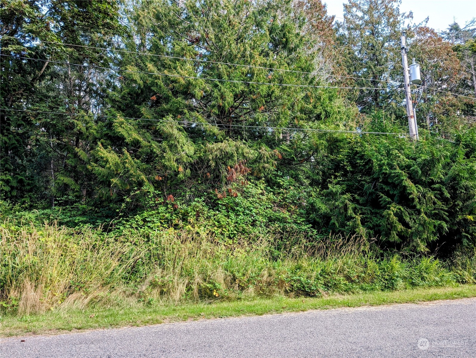 5 Cedar Point Avenue Point Roberts, WA 98281 - Photo 3 of 10 Gallery Image 3