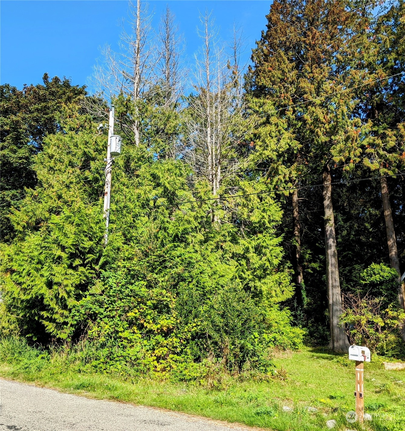 5 Cedar Point Avenue Point Roberts, WA 98281 - Photo 4 of 10 Gallery Image 4