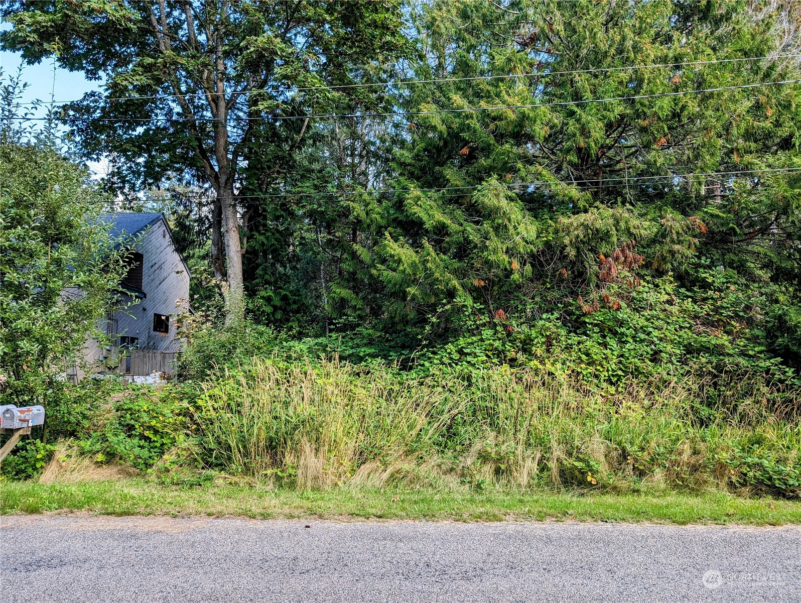 5 Cedar Point Avenue Point Roberts, WA 98281 - Photo 5 of 10 Gallery Image 5