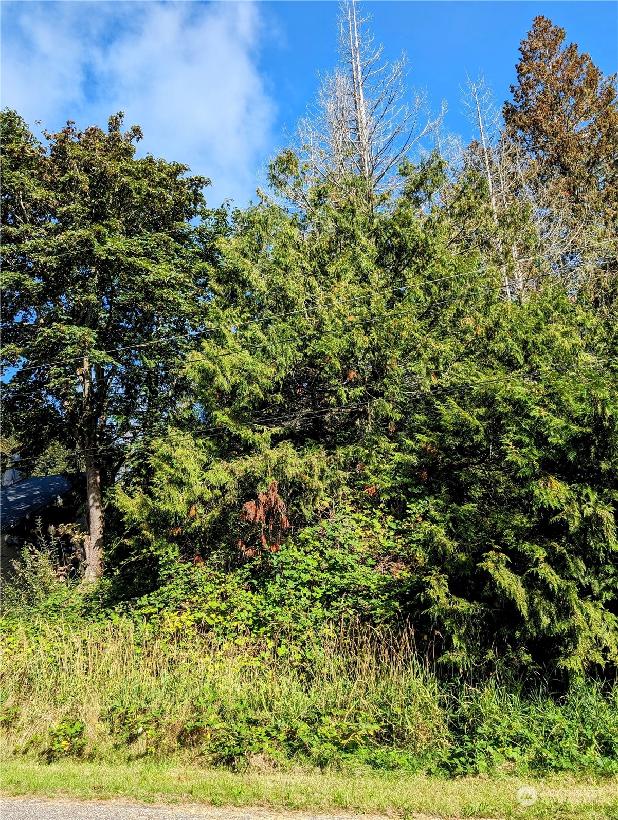 5 Cedar Point Avenue Point Roberts, WA 98281 - Photo 9 of 10 Gallery Image 9