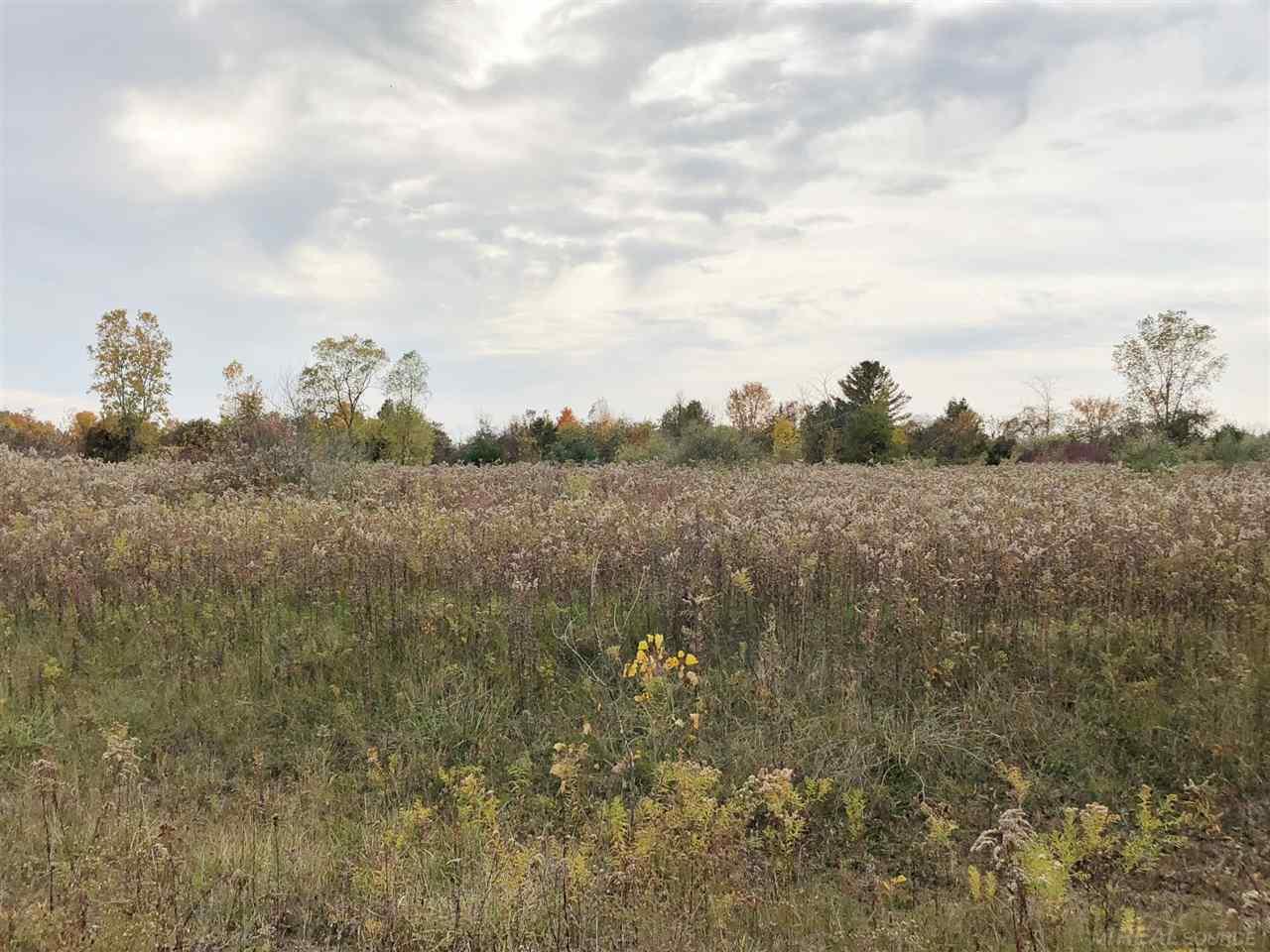 0 Rolling Meadows Road Jeddo, MI 48032 - Photo 3 of 4