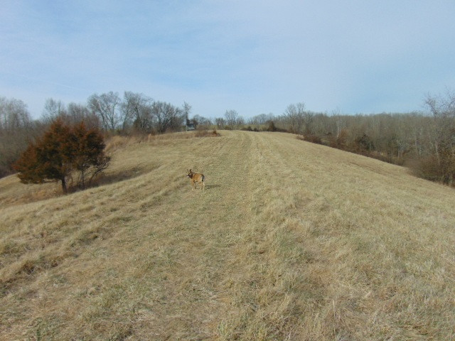 Beaver Road Union, KY 41091 - Photo 8 of 20 Gallery Image 8