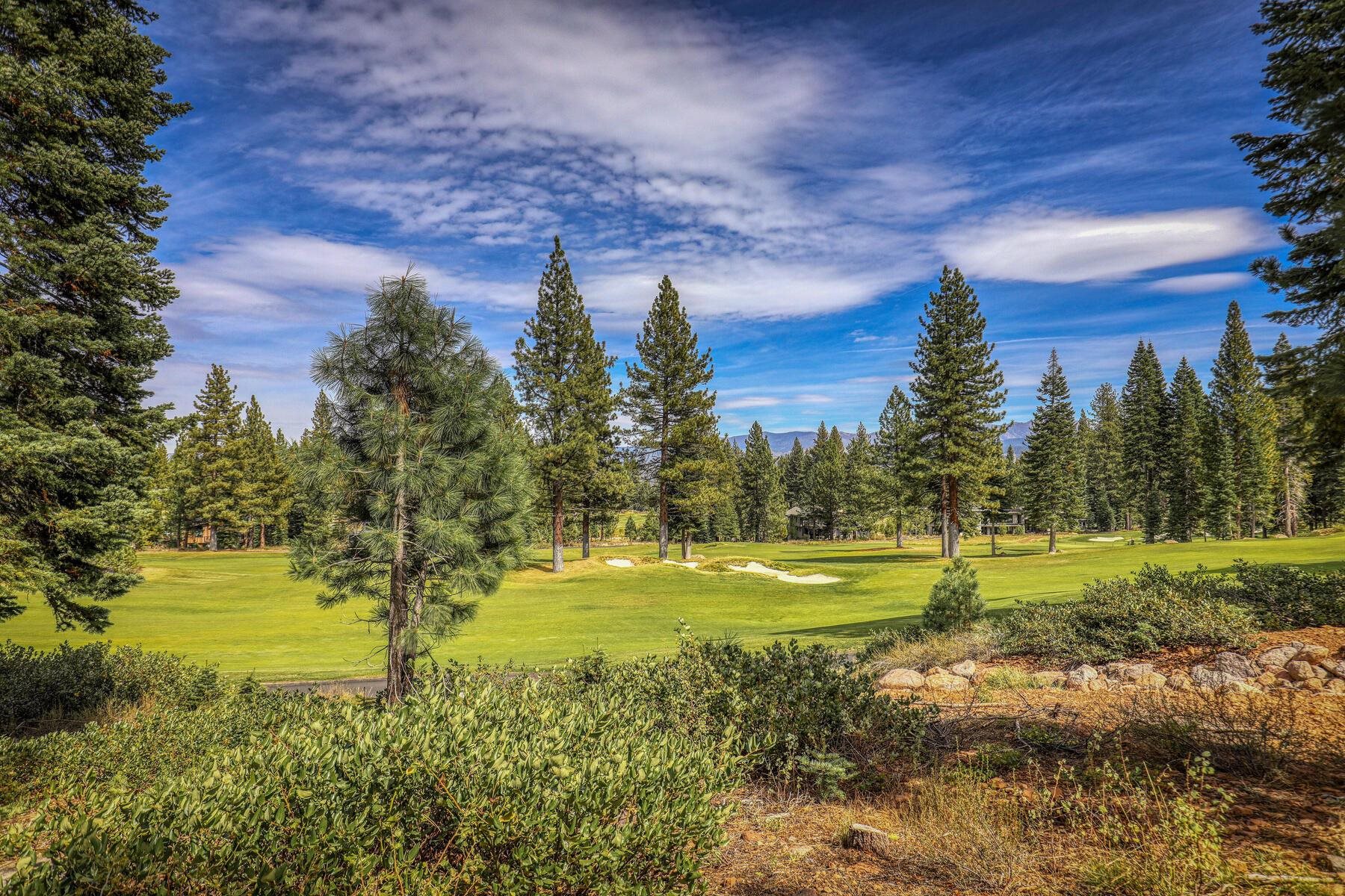 9263 Brae Road Truckee, CA 96161 - Photo 11 of 21 a view of a yard with an trees