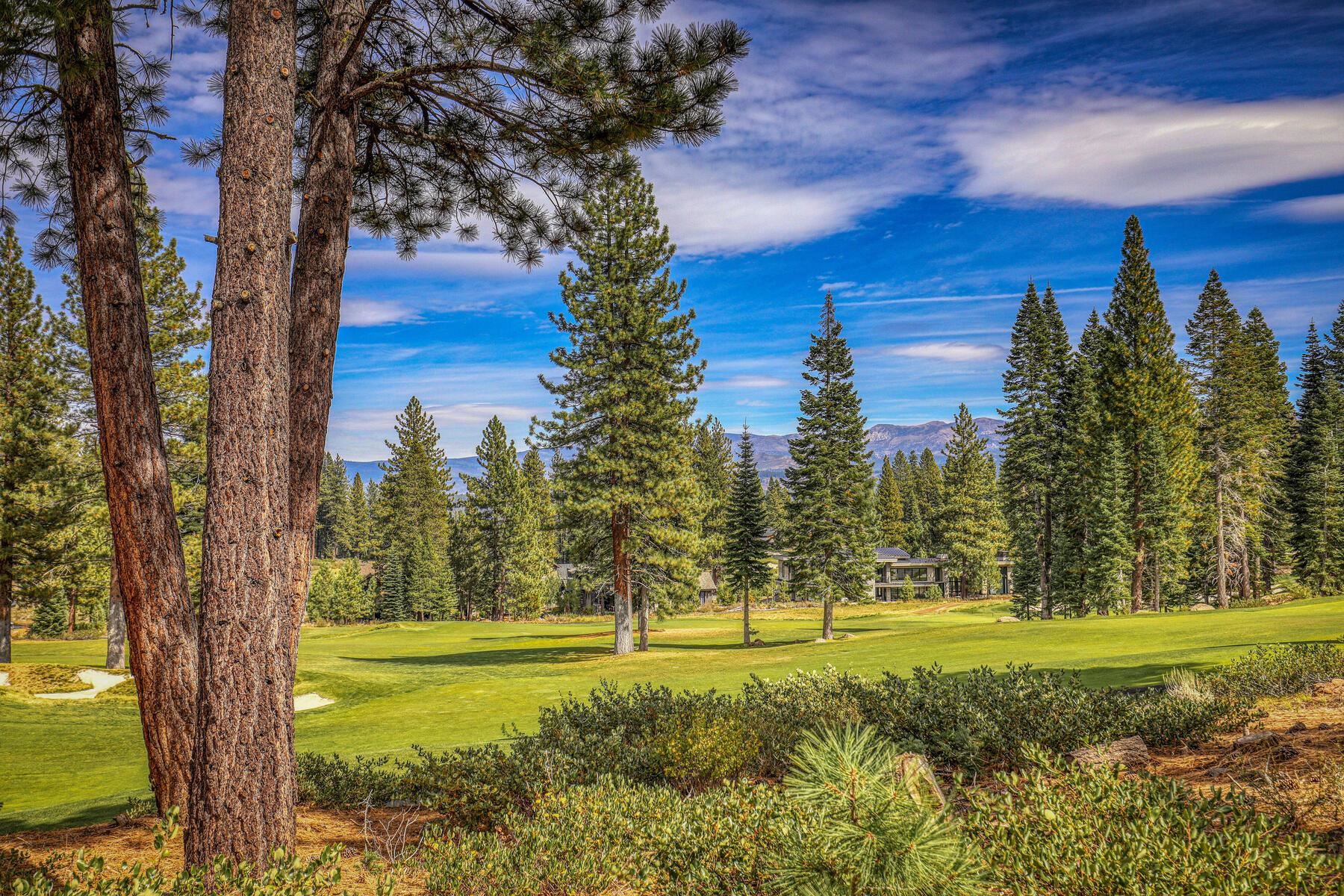 9263 Brae Road Truckee, CA 96161 - Photo 7 of 21 a view of yard with an trees