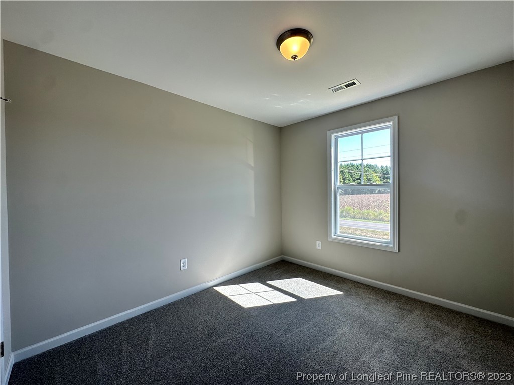 4308 Sivertson Road Autryville, NC 28318 - Photo 22 of 34 Gallery Image 22