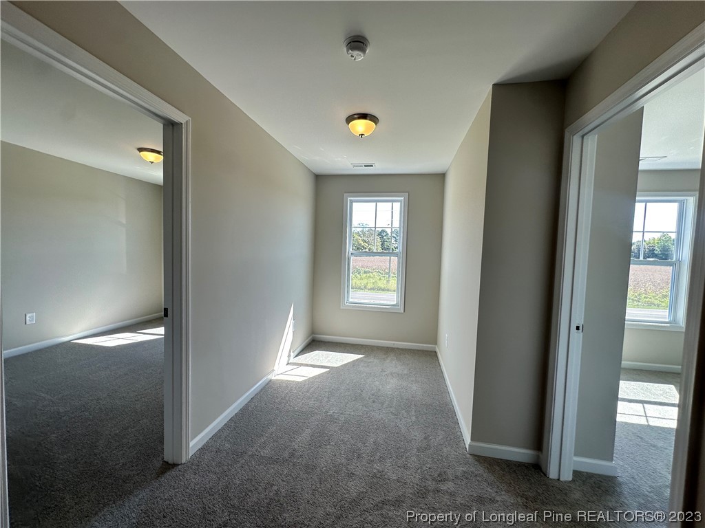 4308 Sivertson Road Autryville, NC 28318 - Photo 25 of 34 Gallery Image 25