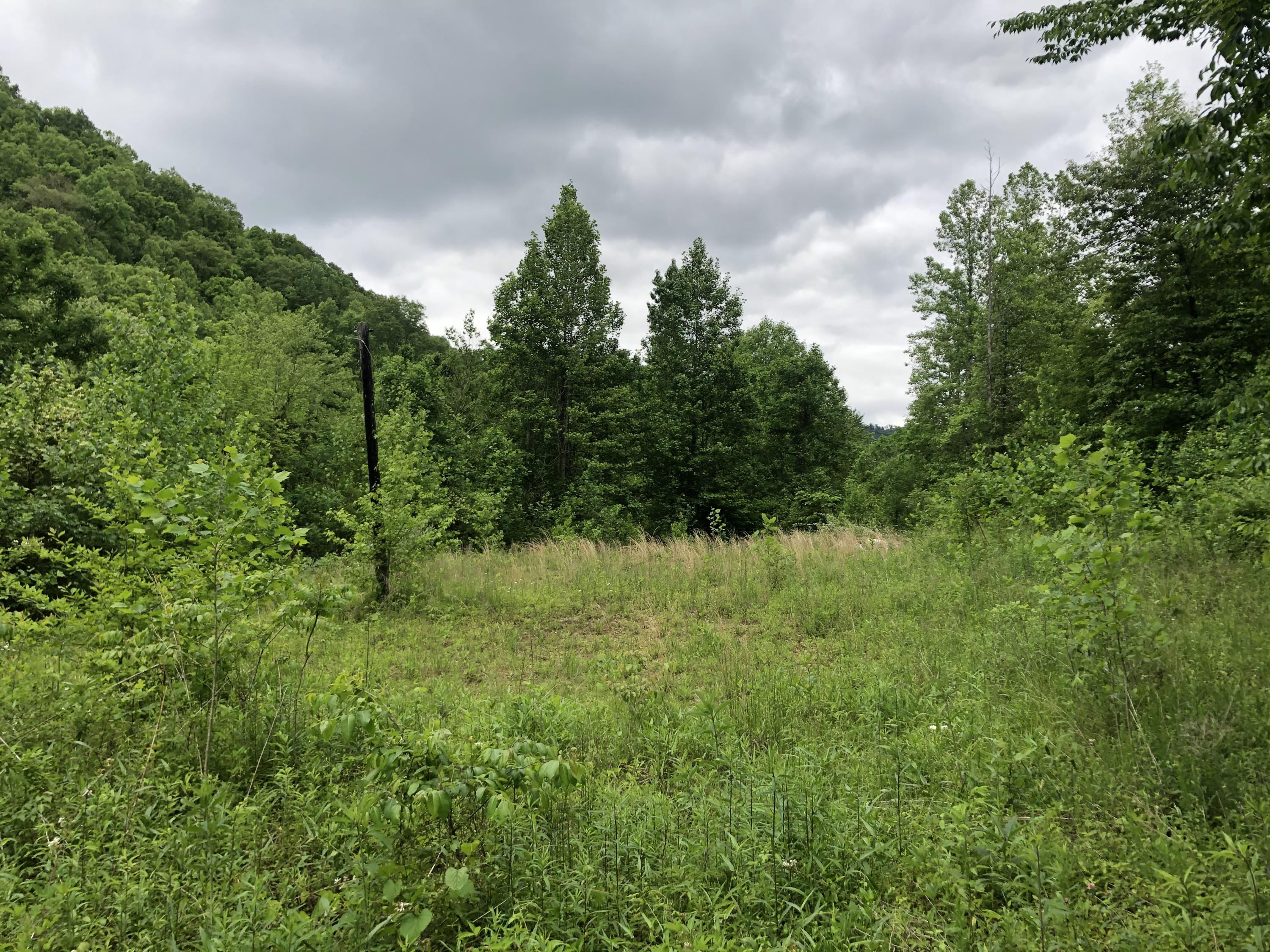 26 Bailey Branch Road Walker, KY 40997 - Photo 18 of 43 IMG_7107