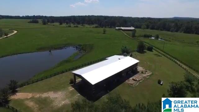 1854 Claud Fleahop Road, Unit 129 4 Eclectic, AL 36024 - Photo 19 of 50