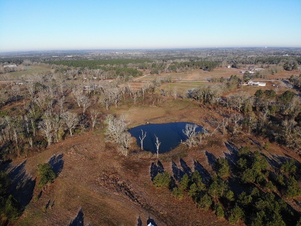 39-acres Eddins Road Dothan, AL 36301 - Photo 9 of 19