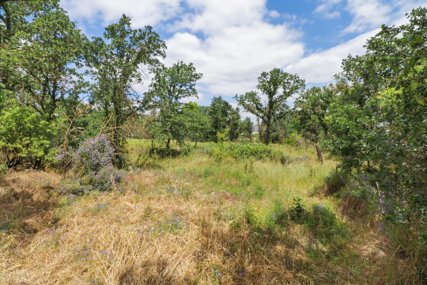 10576 Sheldon Road Elk Grove, CA 95624 - Photo 71 of 74