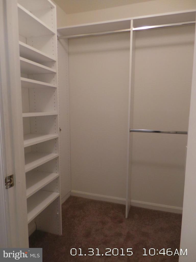 3532 Powder Mill Road, Unit 3532 Beltsville, MD 20705 - Photo 15 of 17 Walk in closets