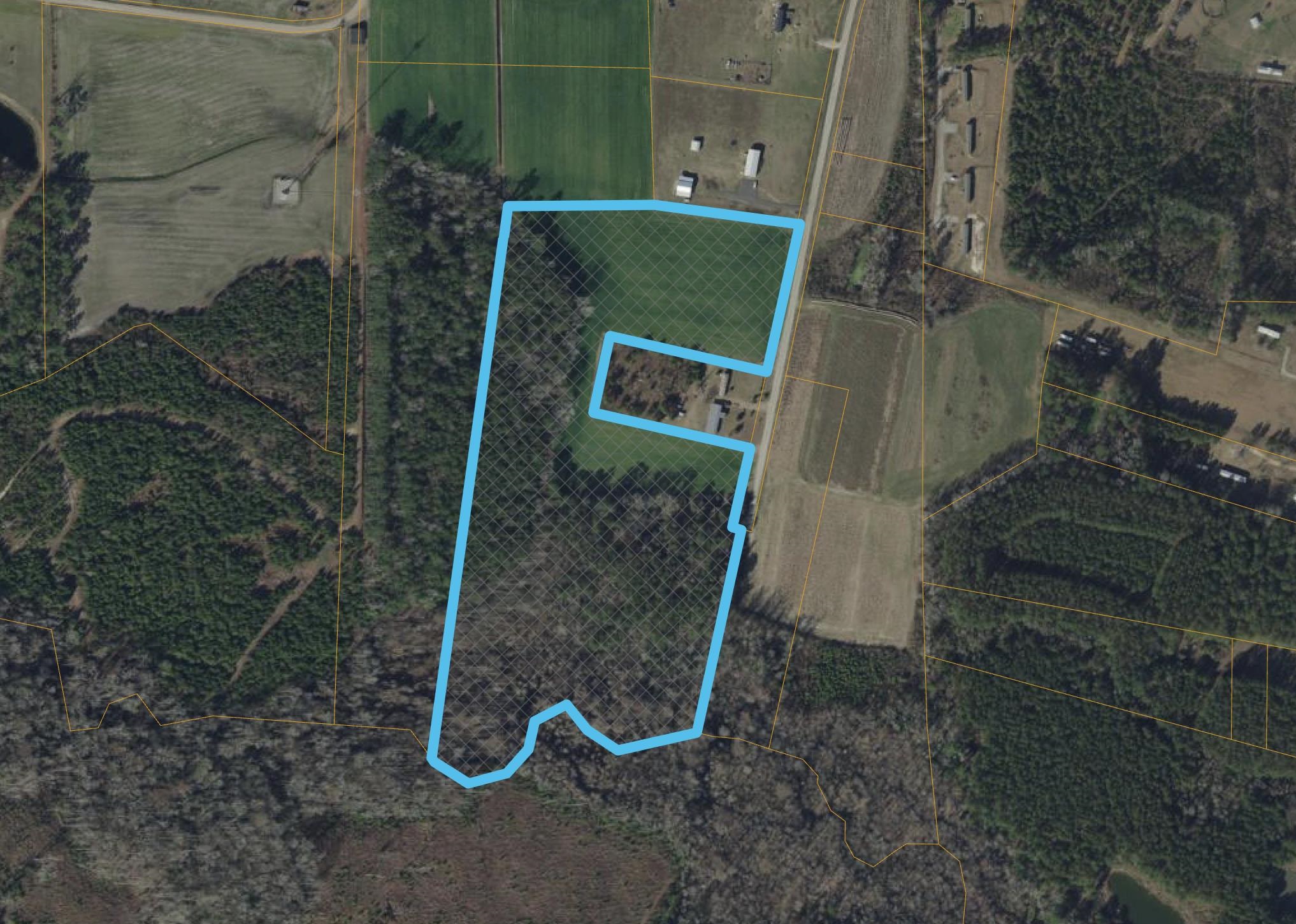 Tbd Sandyridge Road Galivants Ferry, SC 29544 - Photo 5 of 7