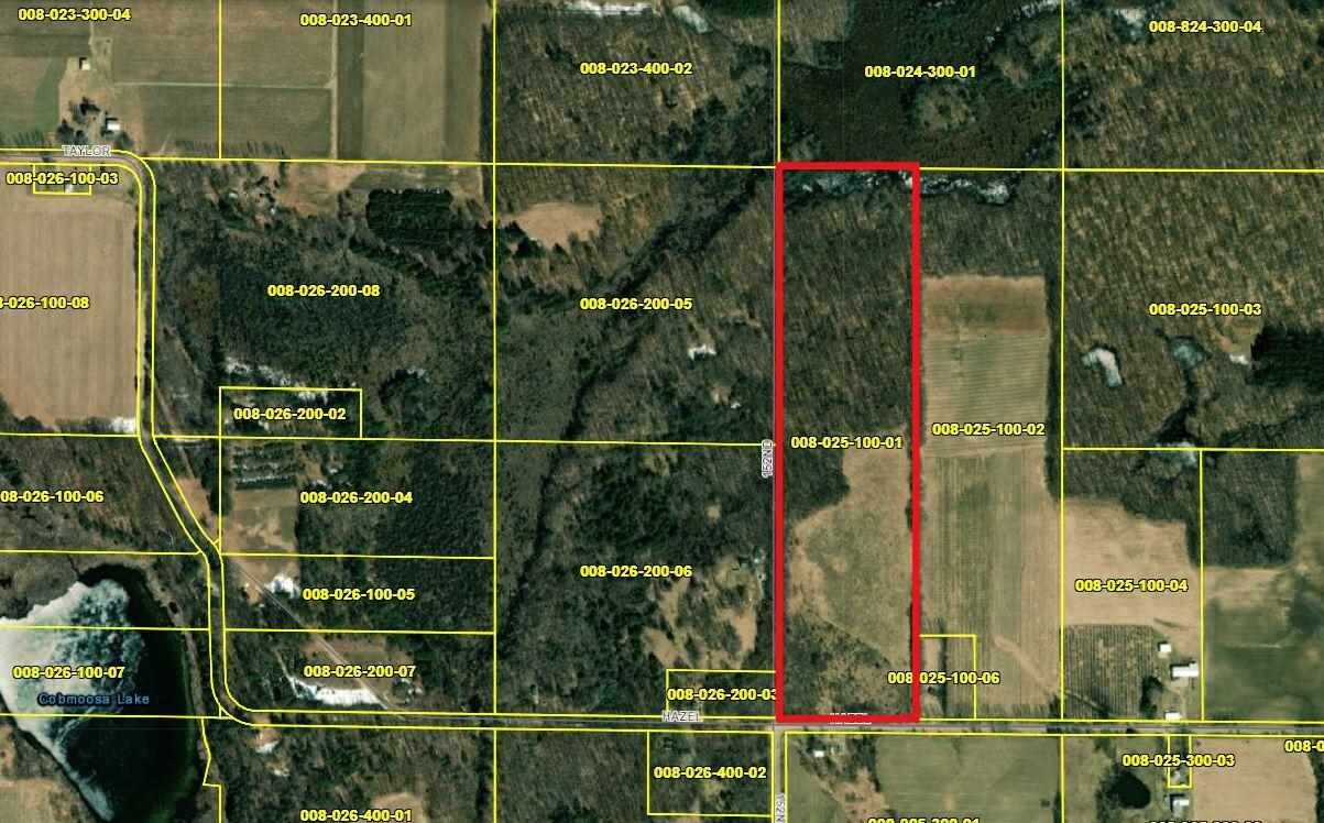 38-acres East Hazel Road Mears, MI 49436 - Photo 12 of 12