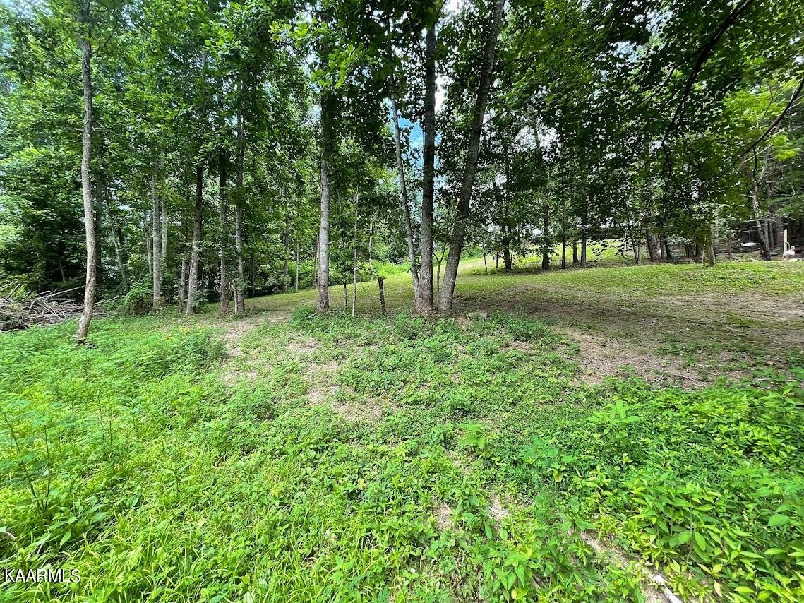 266272 Ikey Duncan Road, Unit 2 Huntsville, TN 37756 - Photo 19 of 29 Gallery Image 19