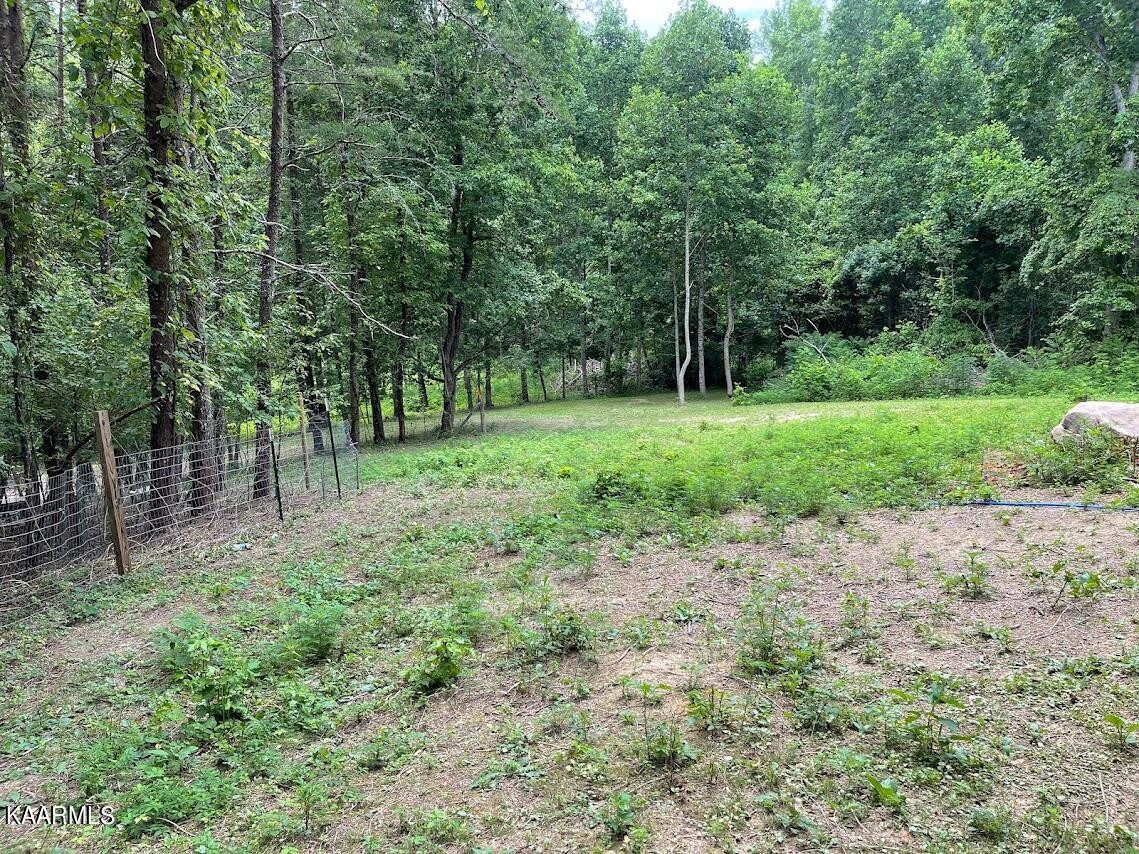 266272 Ikey Duncan Road, Unit 2 Huntsville, TN 37756 - Photo 20 of 29 Gallery Image 20