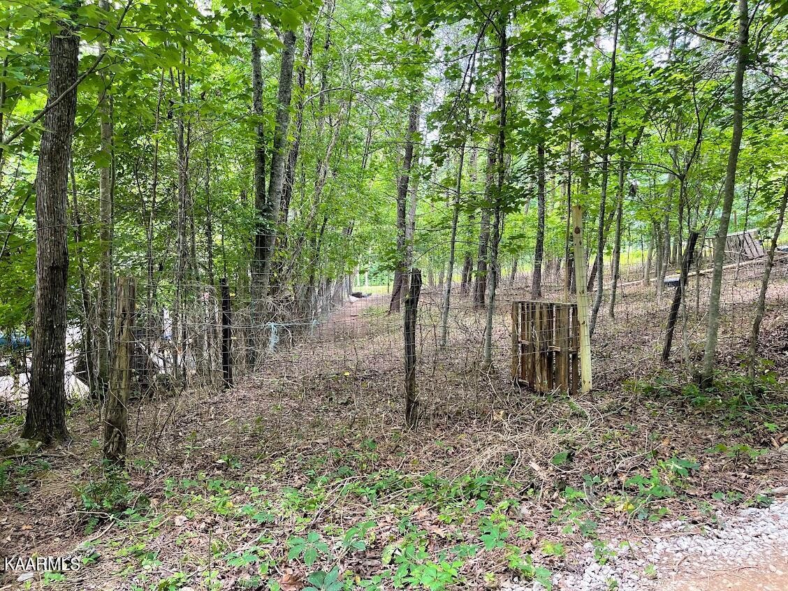 266272 Ikey Duncan Road, Unit 2 Huntsville, TN 37756 - Photo 23 of 29 Gallery Image 23