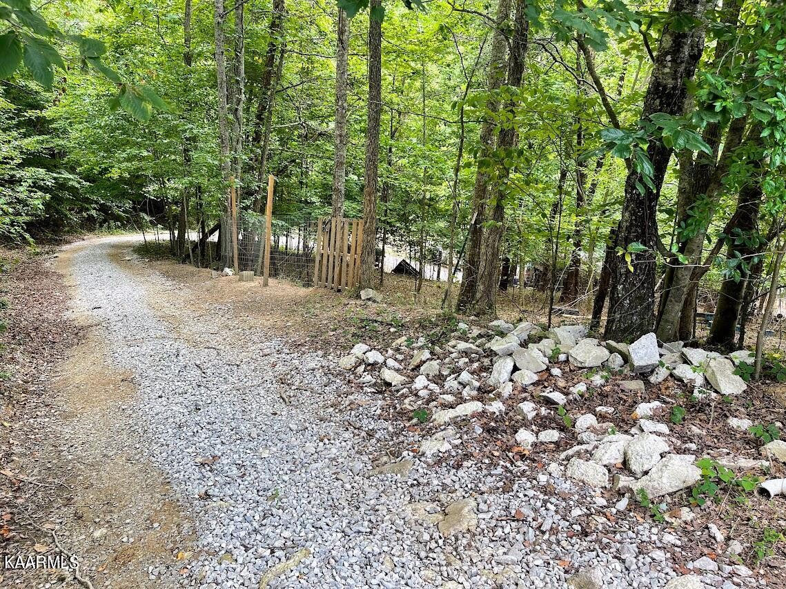 266272 Ikey Duncan Road, Unit 2 Huntsville, TN 37756 - Photo 24 of 29 Gallery Image 24