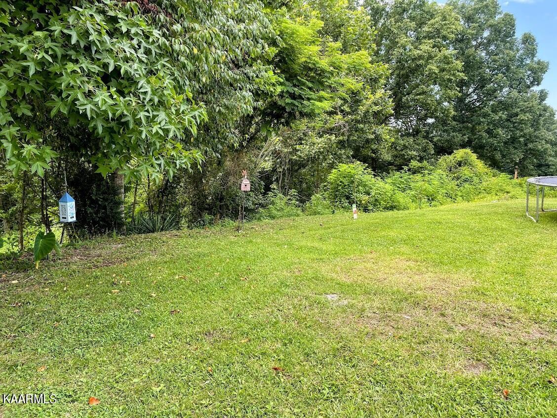 266272 Ikey Duncan Road, Unit 2 Huntsville, TN 37756 - Photo 25 of 29 Gallery Image 25