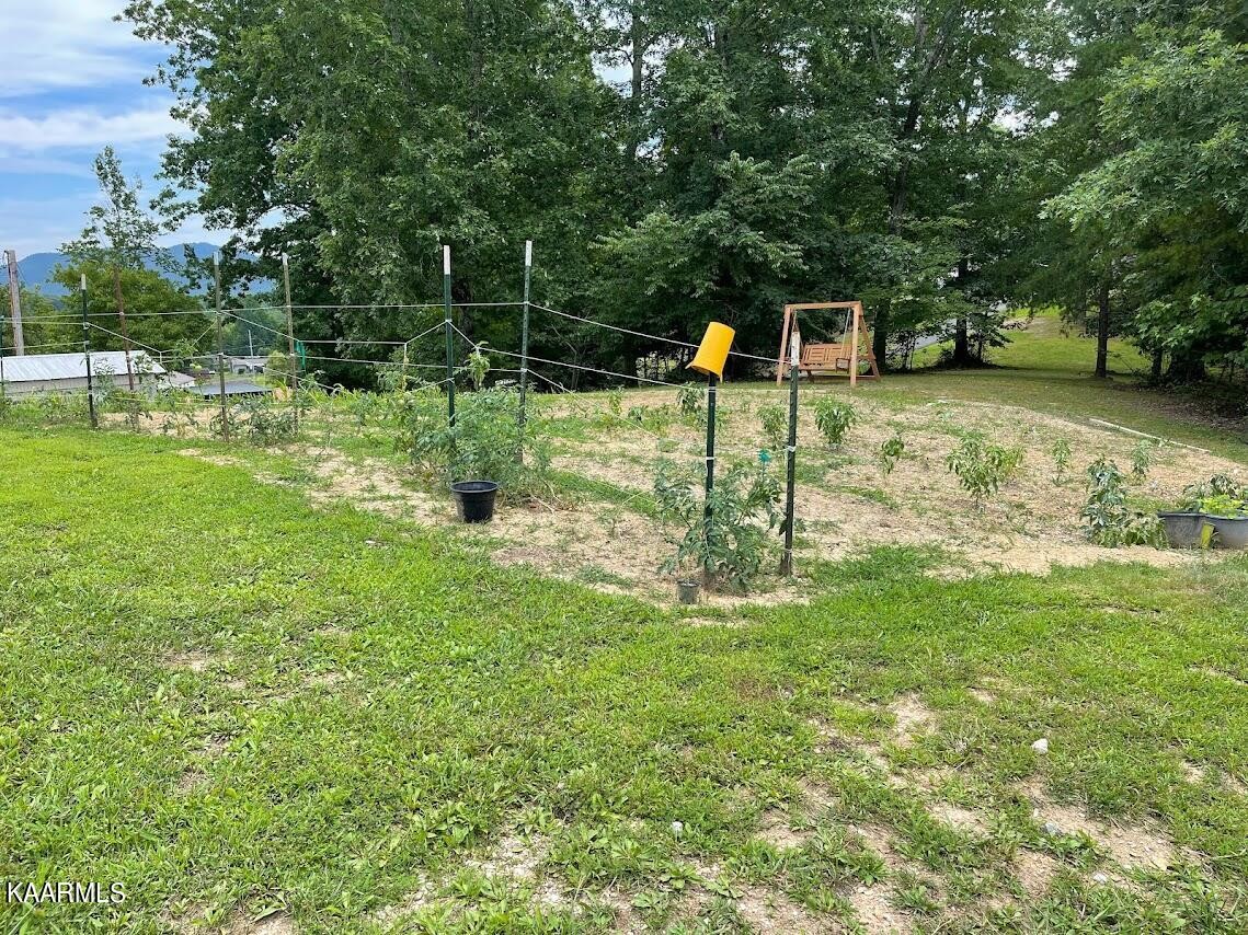 266272 Ikey Duncan Road, Unit 2 Huntsville, TN 37756 - Photo 7 of 29 Gallery Image 7